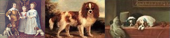 King Charles Spaniel History